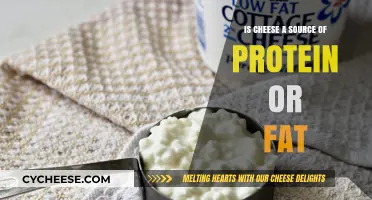 Cheese: A Protein-Rich Food or High-Fat Indulgence?