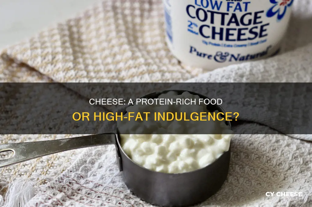 is cheese a source of protein or fat
