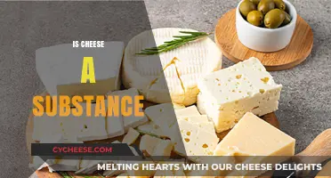 Is Cheese a Substance? Unraveling the Dairy Dilemma