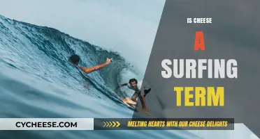 Is Cheese a Surfing Term? Unraveling the Myth Behind the Slang