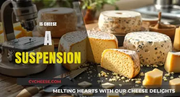 Is Cheese a Suspension? Unraveling the Science Behind Dairy's Texture