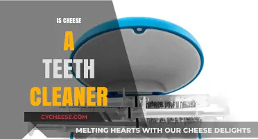 Can Cheese Clean Your Teeth? Unraveling the Dairy Myth