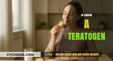 Is Cheese a Teratogen? Unraveling Pregnancy Safety Myths and Facts