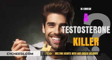 Does Cheese Lower Testosterone? Separating Fact from Fiction in Diet
