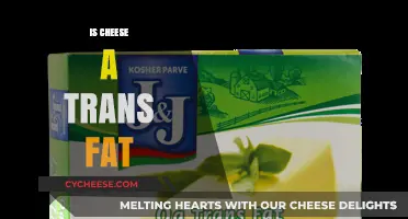 Is Cheese a Trans Fat? Uncovering the Truth About Dairy Fats