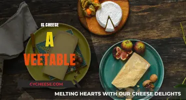 Is Cheese a Vegetable? Debunking the Myth and Exploring the Truth