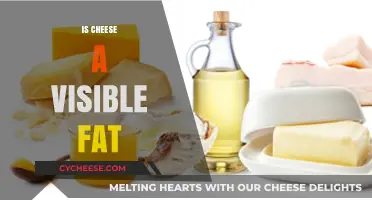 Is Cheese a Visible Fat? Uncovering the Truth About Dairy Fats