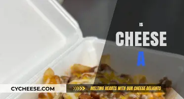 Is Cheese a Dairy Staple or Culinary Delight? Exploring Its Essence
