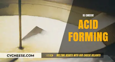 Is Cheese Acid-Forming? Unraveling the Truth About Dairy's pH Impact