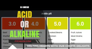 Is Cheese Acidic or Alkaline? Unraveling the pH Mystery