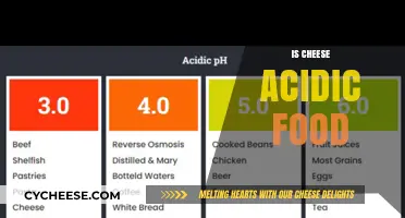 Is Cheese Acidic? Uncovering the pH Truth About Dairy