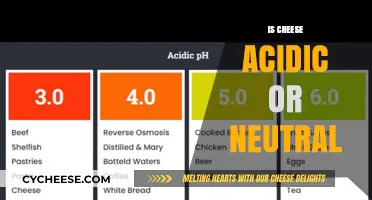 Is Cheese Acidic or Neutral? Unraveling the pH Mystery