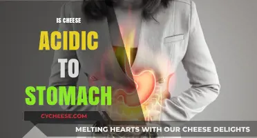 Is Cheese Acidic? Understanding Its Impact on Your Stomach Health