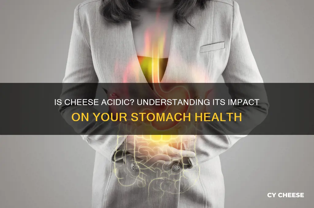 is cheese acidic to stomach