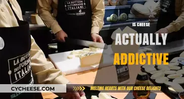 Is Cheese Addictive? Unraveling the Science Behind Dairy Cravings
