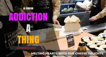 Cheese Addiction: Myth or Real Struggle? Exploring the Science Behind It