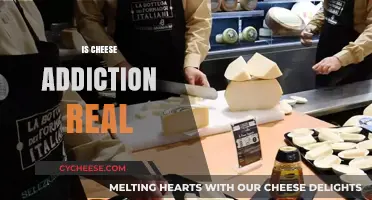 Is Cheese Addiction Real? Unraveling the Science Behind Dairy Cravings