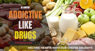 Cheese and Drugs: Is Addiction Similar?