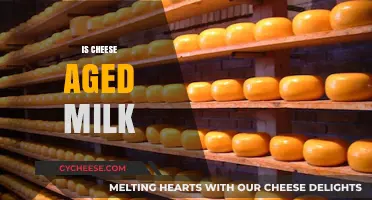 Is Cheese Aged Milk? Unraveling the Dairy Transformation Process