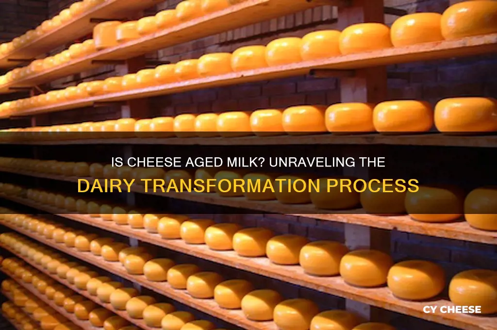 is cheese aged milk