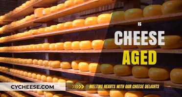 Exploring the Art of Aging Cheese: Time, Flavor, and Tradition