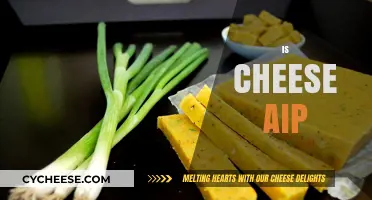 Is Cheese AIP-Friendly? Unraveling the Autoimmune Protocol Cheese Debate