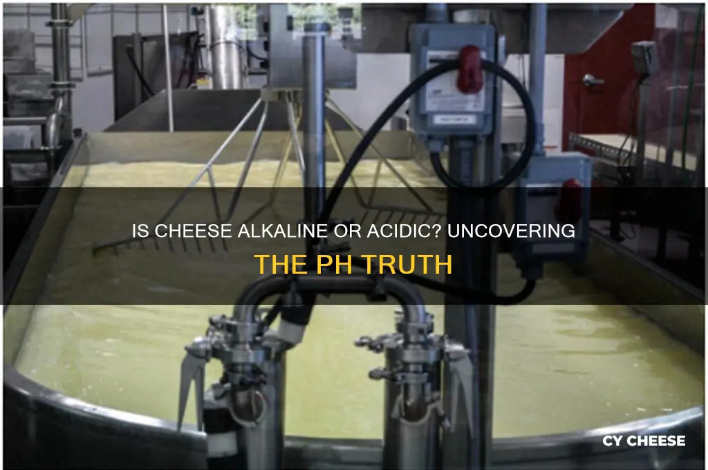is cheese alkaline or acidic