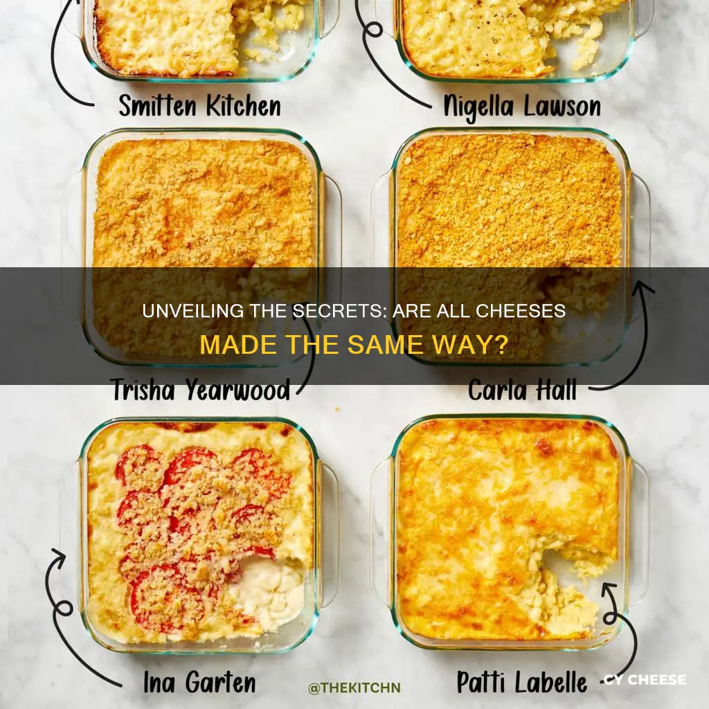 is cheese all made from the same ingredients