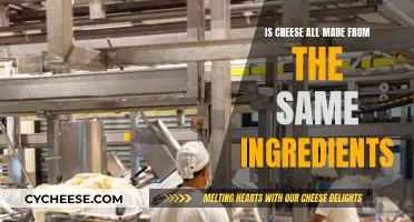 Cheese Ingredients: What's the Common Denominator?