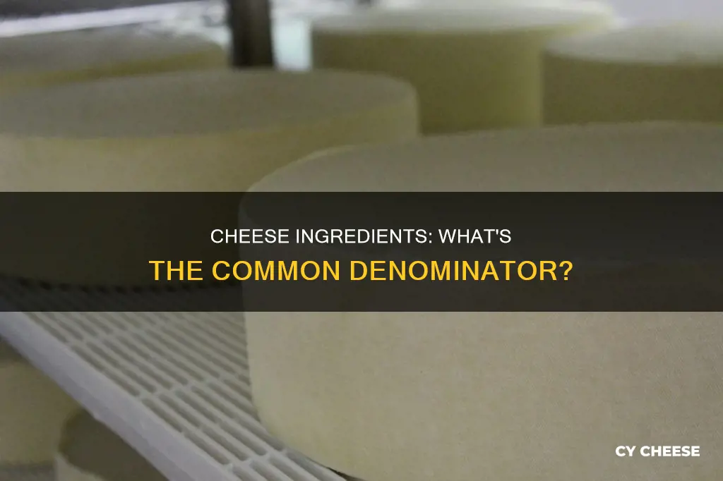 is cheese all made from the same ingredients