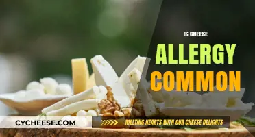 Is Cheese Allergy Common? Understanding Symptoms, Causes, and Prevalence
