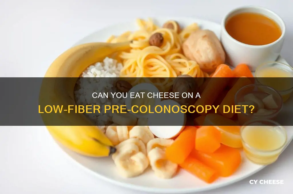 is cheese allowed on a low-fiber diet pre-colonoscopy