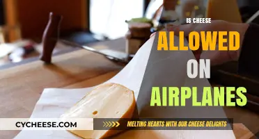 Can You Bring Cheese on a Plane? Travel Snack Rules Explained
