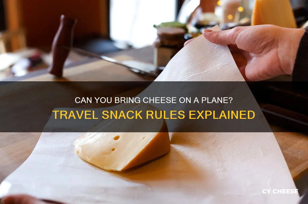 is cheese allowed on airplanes
