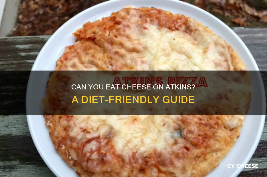 is cheese allowed on atkins