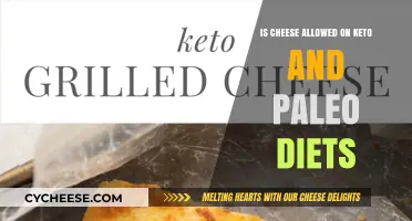 Can You Eat Cheese on Keto and Paleo Diets? Find Out!