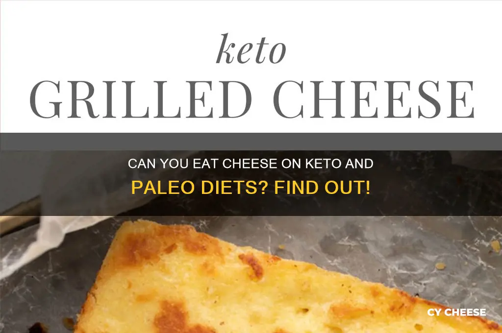 is cheese allowed on keto and paleo diets