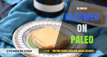 Is Cheese Paleo? Unraveling the Dairy Dilemma in Paleo Diets