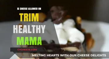 Cheese on Trim Healthy Mama: What You Need to Know