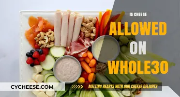 Can You Eat Cheese on Whole30? The Surprising Truth Revealed