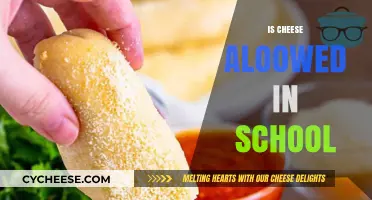 Is Cheese Allowed in School? Unpacking Lunchroom Rules and Restrictions