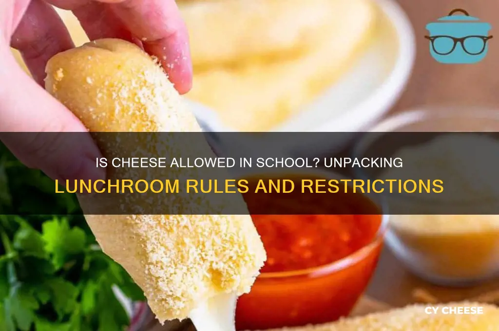 is cheese aloowed in school