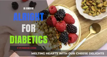 Can Diabetics Eat Cheese? Nutrition Facts and Healthy Tips