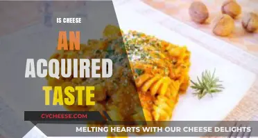 Is Cheese an Acquired Taste? Exploring Palate Preferences and Flavor Evolution