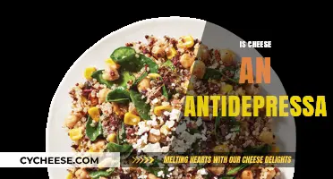 Can Cheese Boost Mood? Exploring Its Potential Antidepressant Effects