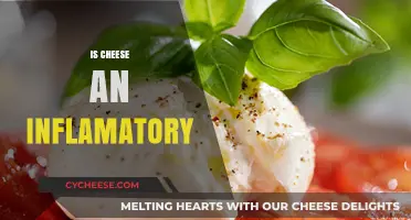 Is Cheese Inflammatory? Uncovering the Truth About Dairy and Inflammation