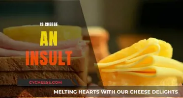 Is Cheese an Insult? Unraveling the Cheesy Connotations and Context