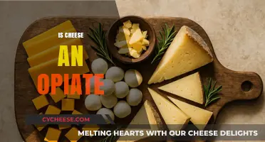 Is Cheese an Opiate? Unraveling the Myth of Dairy's Addictive Qualities