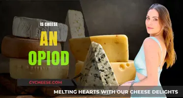 Cheese and Opioids: Unraveling the Surprising Connection Between Dairy and Addiction