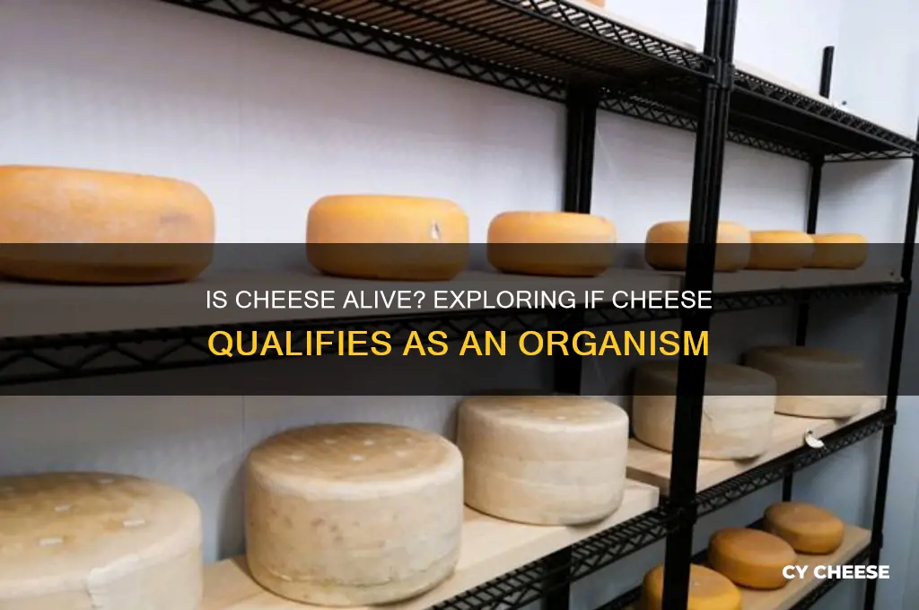 is cheese an organism